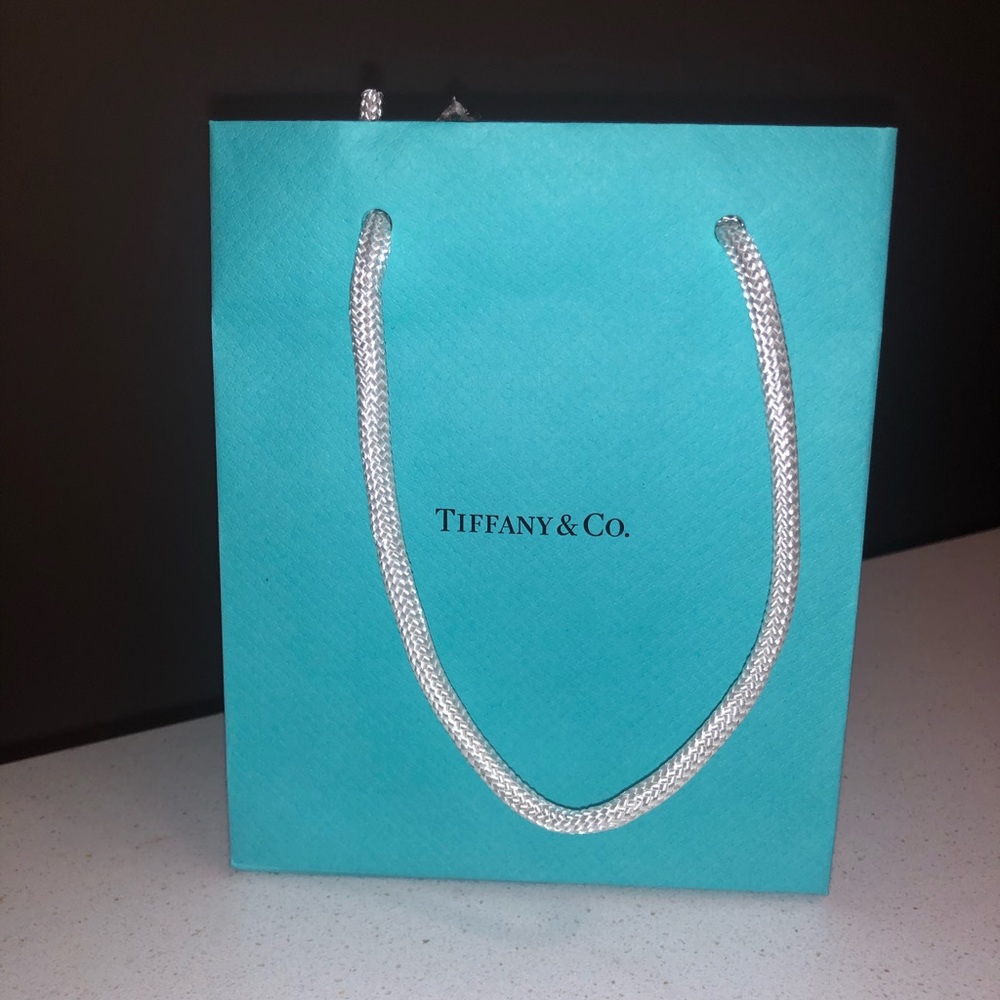 💯 Authentic Tiffany &Co. Gift Bag